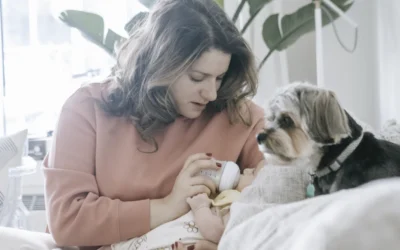 Cómo preparar a tu perro o gato para la llegada de un bebé